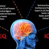 Neuro Boost IQ 3 - http://maleenhancementshop