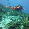 Scuba diving St.Thomas