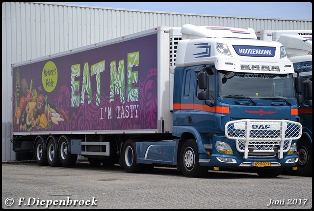 45-BFF-3 DAF CF Hoogendonk-BorderMaker 2017