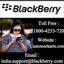 Blackberry India Customer C... - Customer Karts