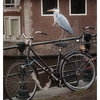 Amsterdam Heron - Netherlands