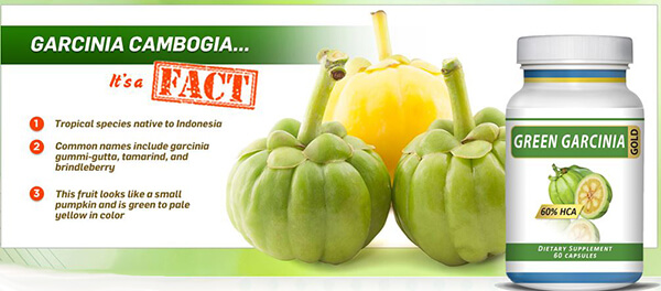 dfgdfgdf-copy Why You Should Utilize Green Garcinia Gold!