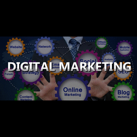 Digital Marketing Services for Small Business Picture Box