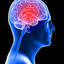 brain-injuries - Picture Box