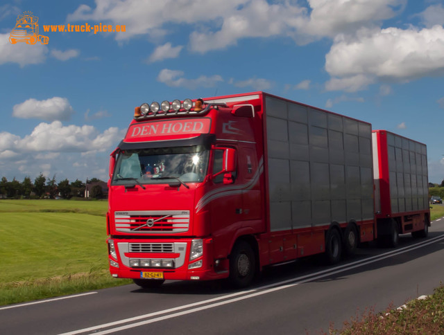 www.truck-pics.eu #NogHarderLopik #salmsteke-142 Nog Harder Lopik 2017 #salmsteke powered by www.truck-pics.eu