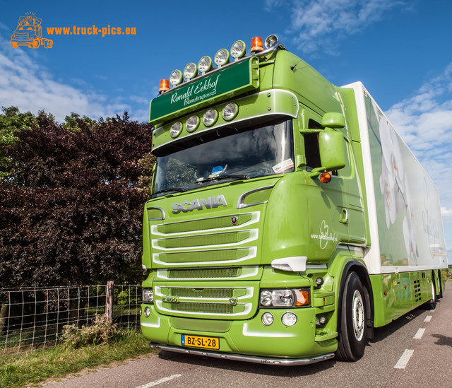 www.truck-pics.eu #NogHarderLopik #salmsteke-371 Nog Harder Lopik 2017 #salmsteke powered by www.truck-pics.eu