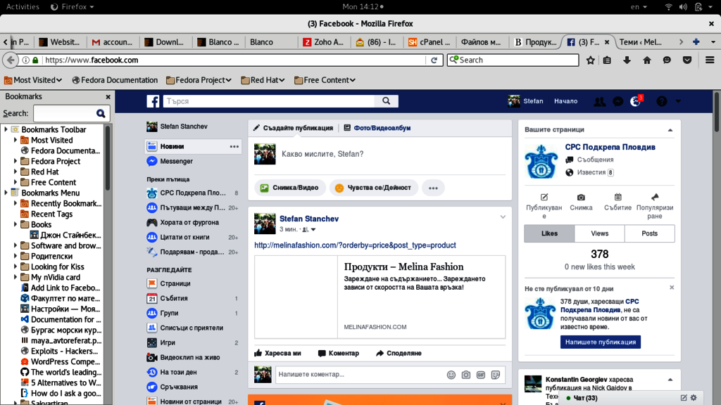 melfbscreen Picture Box