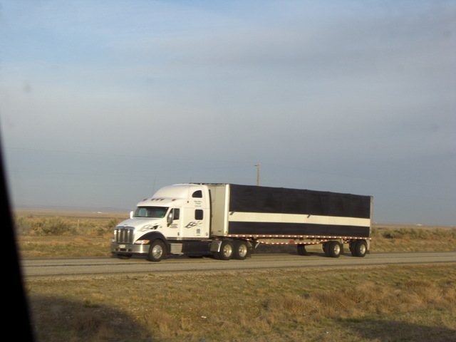 CIMG8157 Trucks