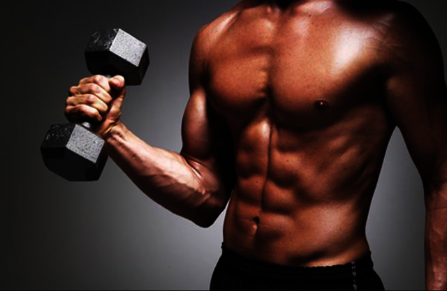 Ways-to-Effectively-Avoid-Catabolism-and-Build-Mus http://www.toptryloburn.com/pro-muscle-plus/