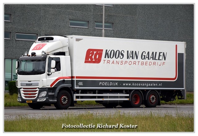 Gaalen van  Koos 71-BGX-1-BorderMaker Richard