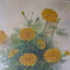 IMG 0002 - Van GOgH Still Life / Unknown