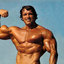Arnold-Schwarzenegger-1970-... - Picture Box