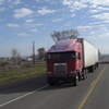 CIMG8305 - Trucks