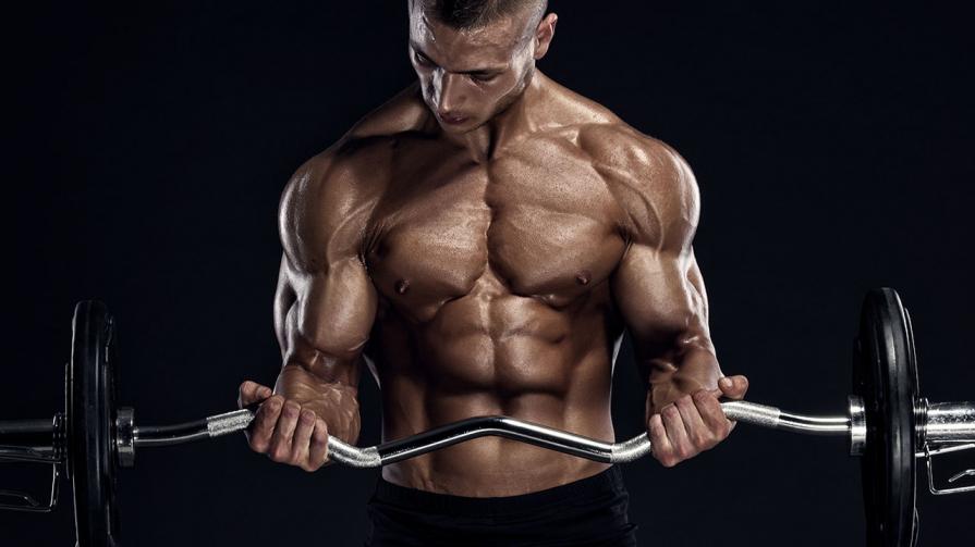 https://musclebuildingbuy Picture Box