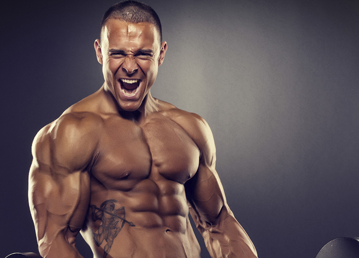 https://musclebuildingbuy Picture Box