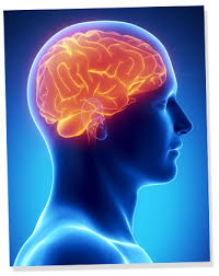 https://alphajackedhelp https://alphajackedhelp.com/brain360/