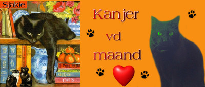 Wie is er online?