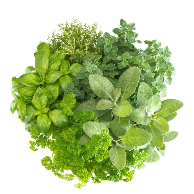 4383158-closeup-of-variety-fresh-herbs Picture Box