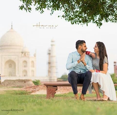 Testomenix Review Picture Box