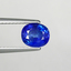 4007-SAP-A - 2015-09-25