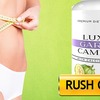 Luxury Garcinia Cambogia9 - http://www.wellness350