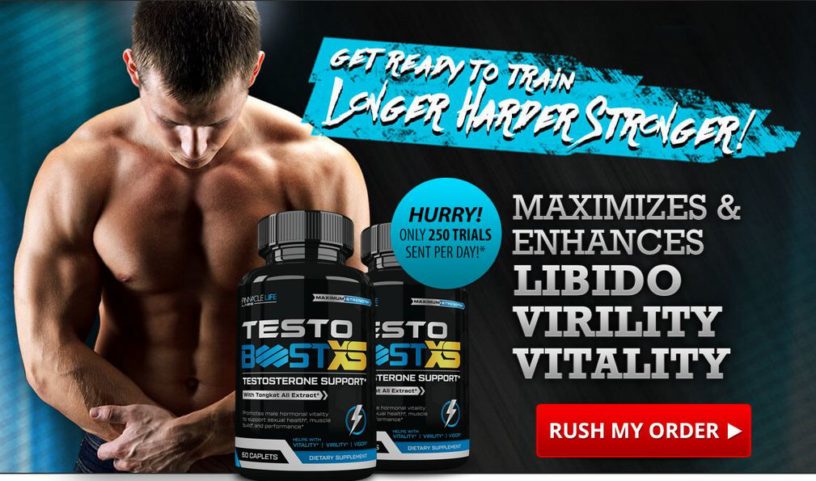 Testo Boost XS Picture Box