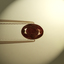 4117-ALEX-B - 2015-09-25