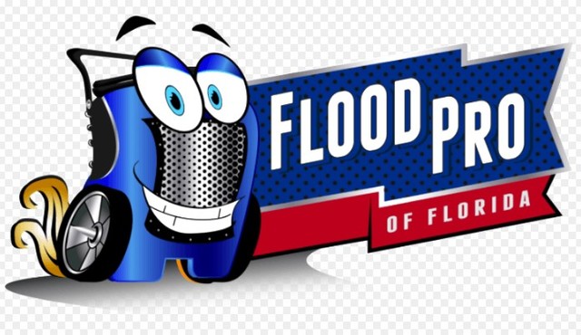 1 Flood Pro of Florida llc