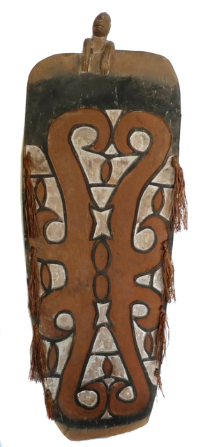 papua-asmat-casuarine-coast-shield-nico-akerboom-m melanesische kunst