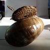 turbo-marmoratus-shell-brid... - melanesische kunst