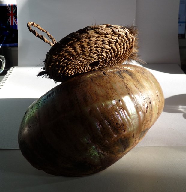 turbo-marmoratus-shell-brideprice-talipun-boiken 5 melanesische kunst