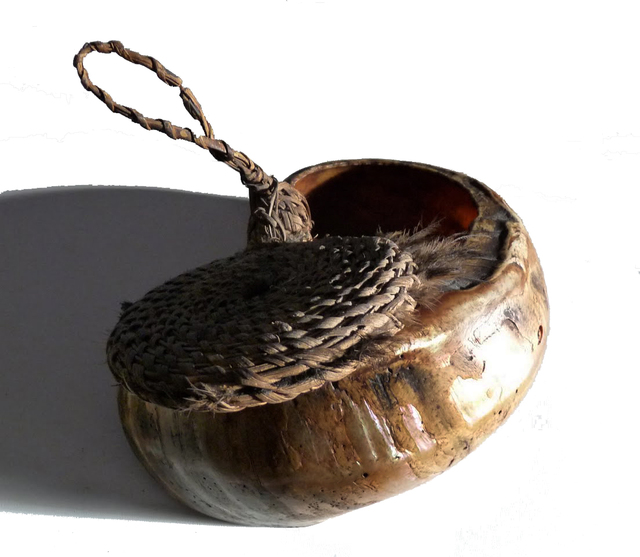turbo-marmoratus-shell-brideprice-talipun-boiken 5 melanesische kunst