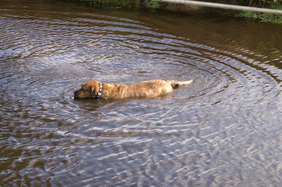 21557887 1220445911394681 8642812579430188909 n - 