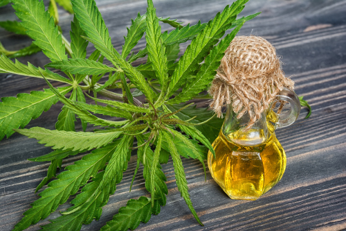 CBD-Oil https://growxlsite.com/pure-cbd-solace/
