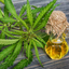 CBD-Oil - https://growxlsite.com/pure-cbd-solace/