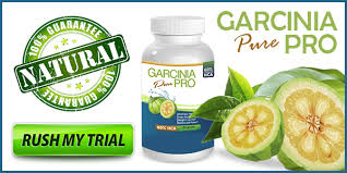 Garcinia Pure Pro http://www.healthyminimag.com/garcinia-pure-pro-reviews/