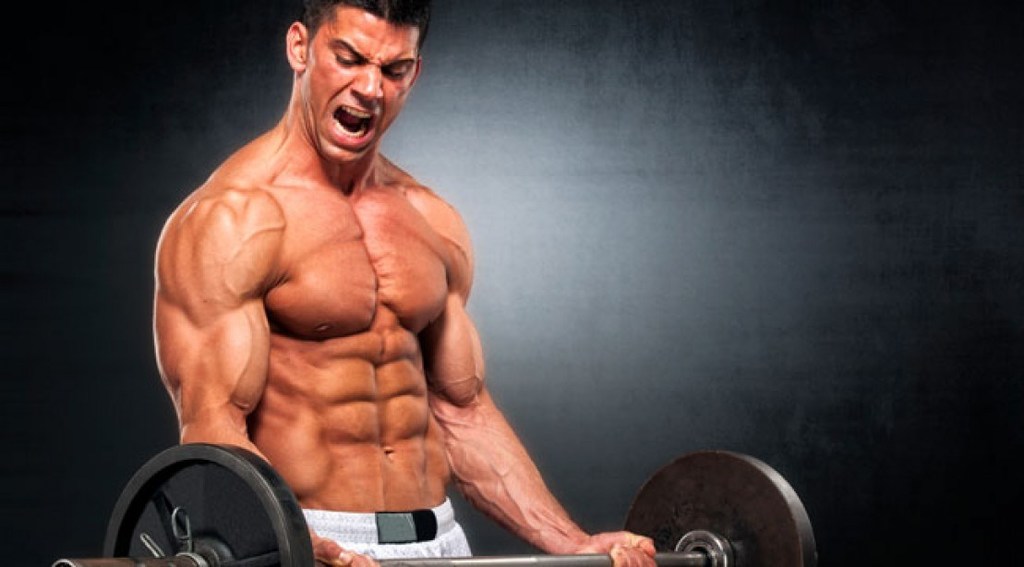 https://maximizedmuscleideas Picture Box