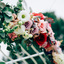 Bridal flowers Gold Coast - Cara Clark Design