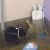 Water Damage Cleanup Expert... - Category 3 LLC