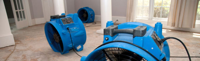 Water Damage Restoration Contractor in Suffolk Category 3 LLC