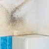 Mold Removal Contractors in... - Suffolk County Water Damage