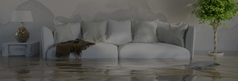 Water Damage Restoration Experts in Suffolk Suffolk County Water Damage