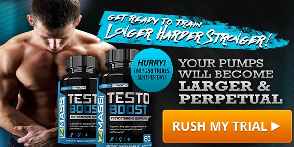 ZMass Testo Boost Picture Box