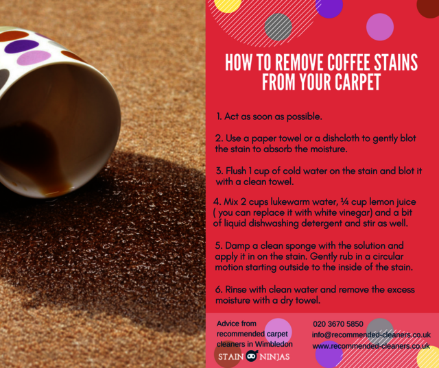 How to remove coffee stains from your carpet Picture Box