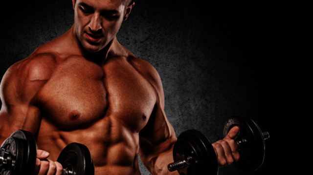 https://www.puremusclefacts https://www.puremusclefacts.com/numax-test-xt/