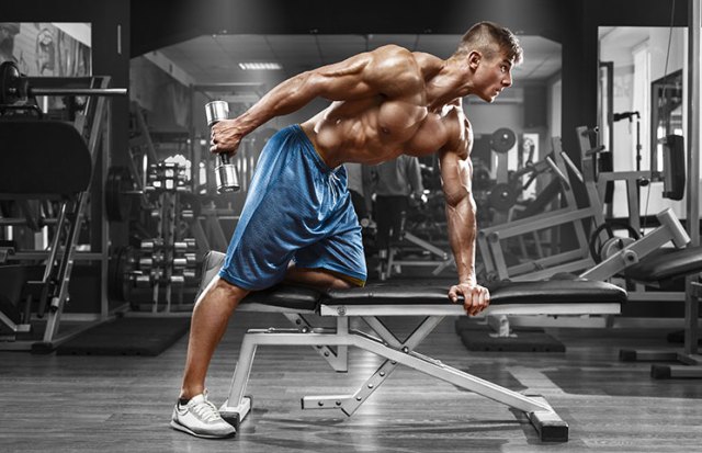 gym-workout-man-muscle-lifting-weights https://alphajackedhelp.com/testrx/