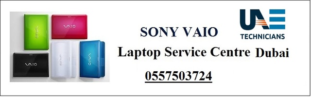 SONY VAIO Service Center Picture Box
