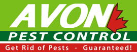 Avon Pest Control Avon Pest Control