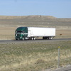CIMG8376 - Trucks