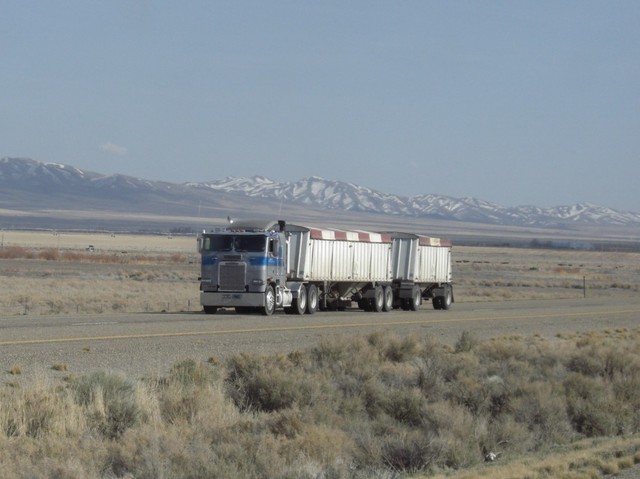 CIMG8363 Trucks